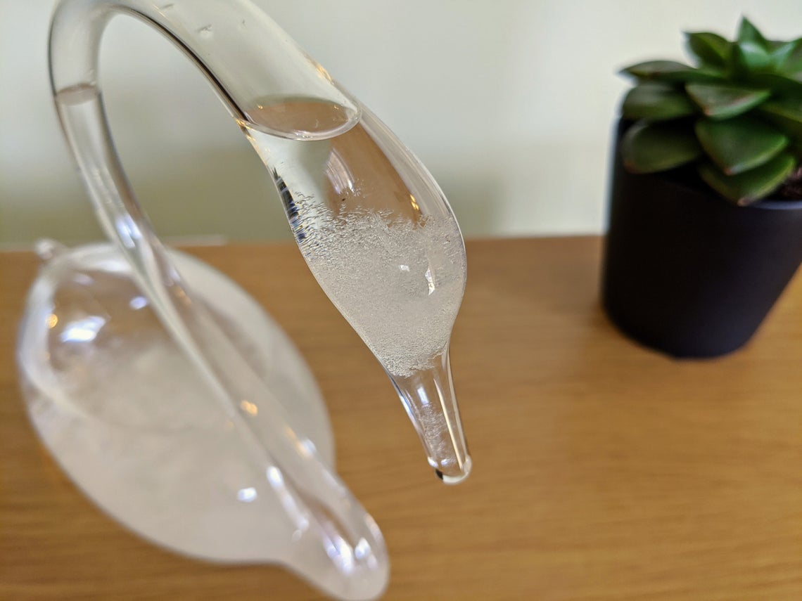 Elegant Fitzroy Storm Glass Blackswan Hourglass