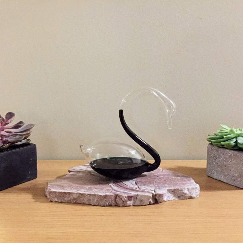 Black Swan Storm Glass Barometer – Blackswan Hourglass
